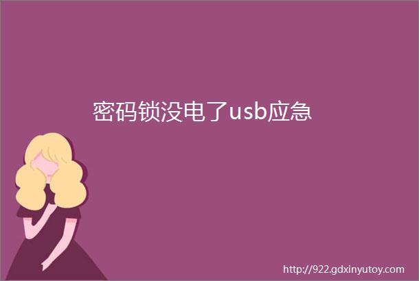 密码锁没电了usb应急